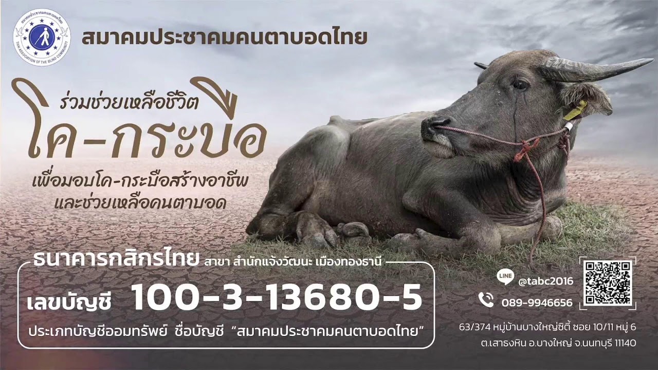 พิธีไถ่ชีวิตโค-กระบือให้คนตาบอด ครั้งที่ 1/2569วันพุธที่ 03 มีนาคม พ.ศ. 2569 เนื่องในวัน มาฆบูชา