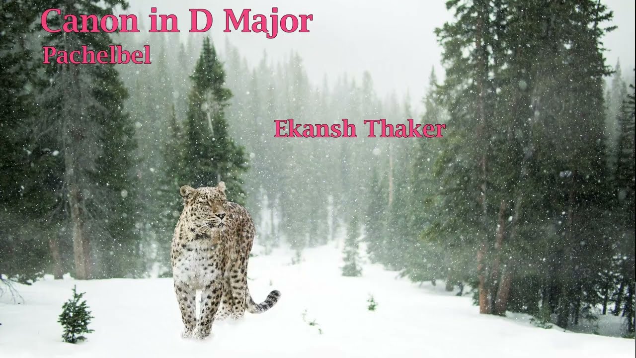 Canon in D Major (Pachelbel) by Ekansh