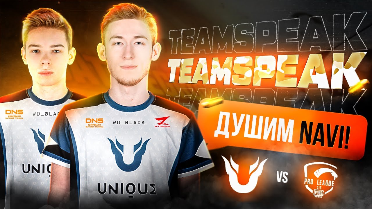 Unique Душат Na'Vi [TeamSpeak PUBG MOBILE PRO LEAGUE]