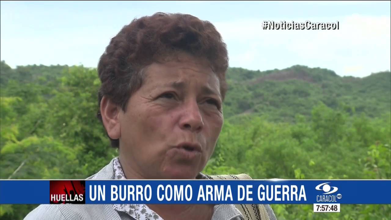 El burro bomba y la noche de terror que marcaron para siempre al Chalán, Sucre  02\09\16