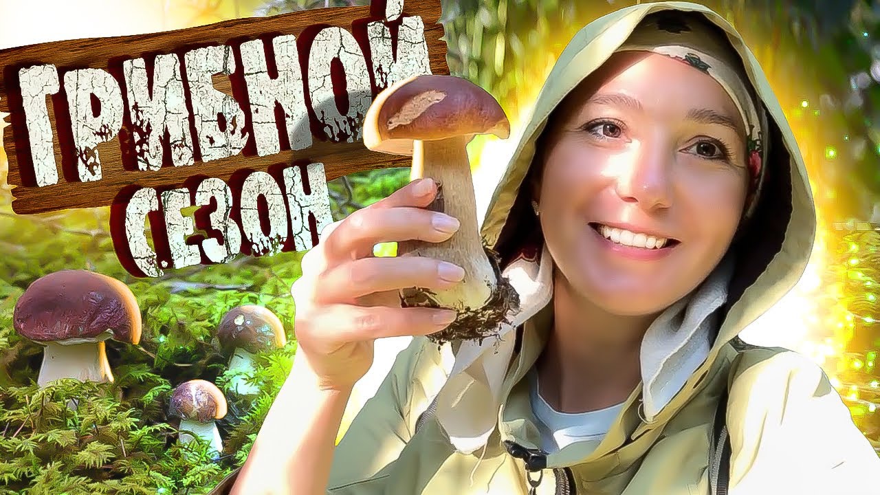 ГРИБЫ ПОШЛИ! Грибной сезон ОТКРЫТ / Сбор грибов в лесу!