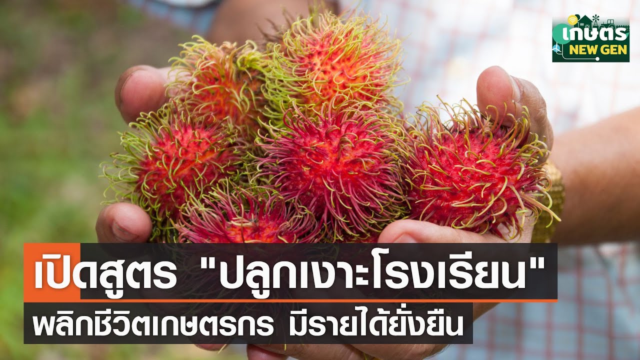 เปิดสูตร 