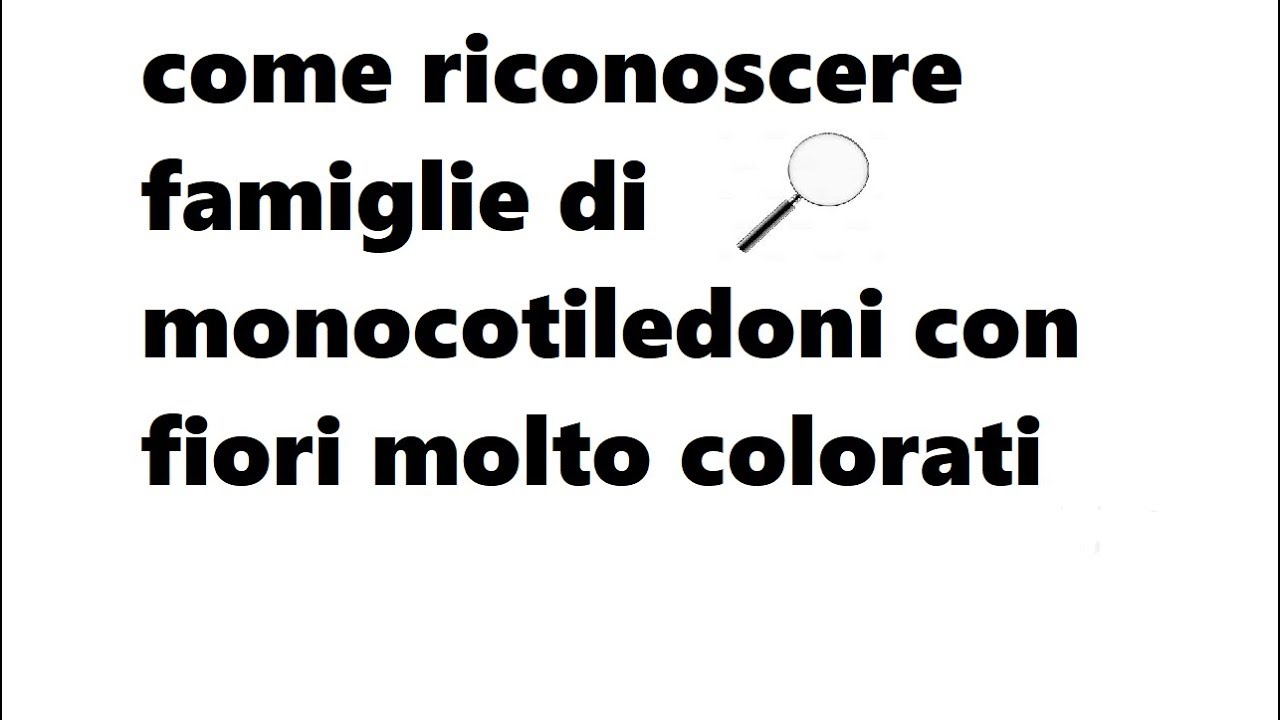 famiglie di monocotiledoni con fiori molto colorati