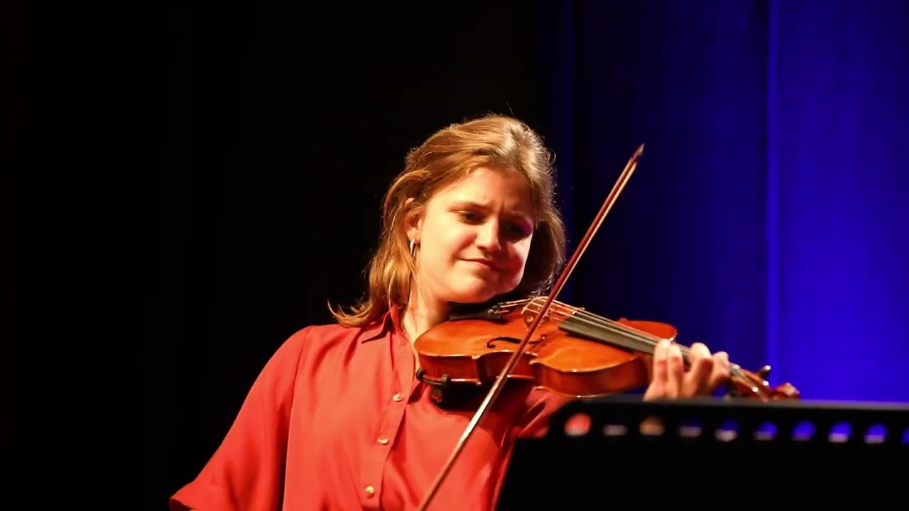 Concert Suite - Music for Clarinet, Violin and Accordion