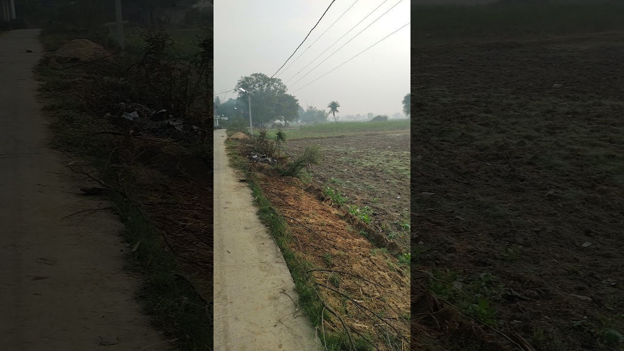Beautiful morning...😀 #village #morning #sunrise #fog