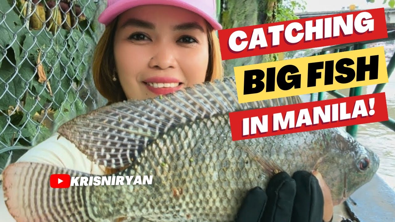 FISHING FOR BIG FISH in Manila's Pasig River is now a Home to Monster- Sized Catches