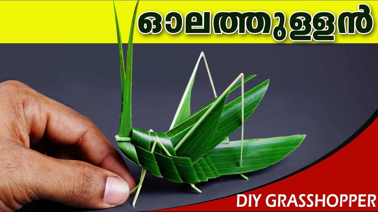 DIY Grasshopper| Easy to make grasshopper | DIY craft | tip4techmalayalam | coconut leaf craft ideas