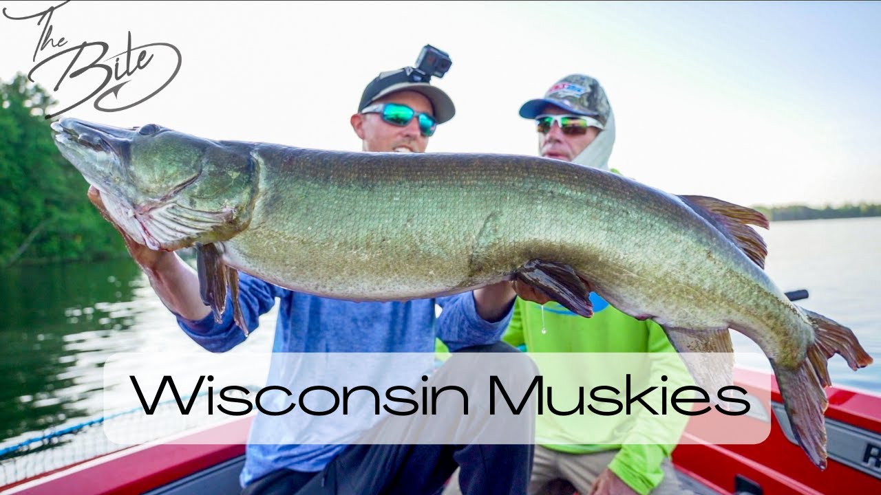 Wisconsin Muskies с Питом Майной | THE BITE (июль 2021 г.)