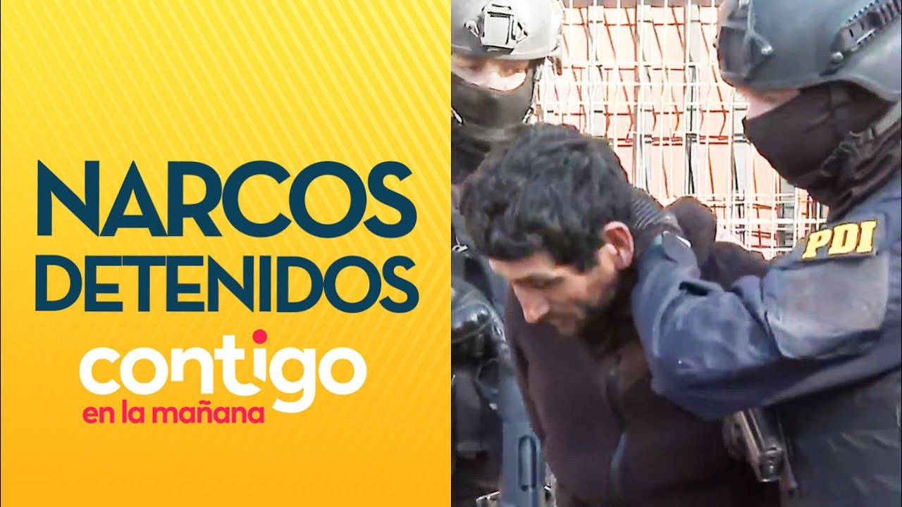 CHIMPANCÉ ERA SU MASCOTA: La tensa detención de banda narco en Pudahuel - Contigo en la Mañana