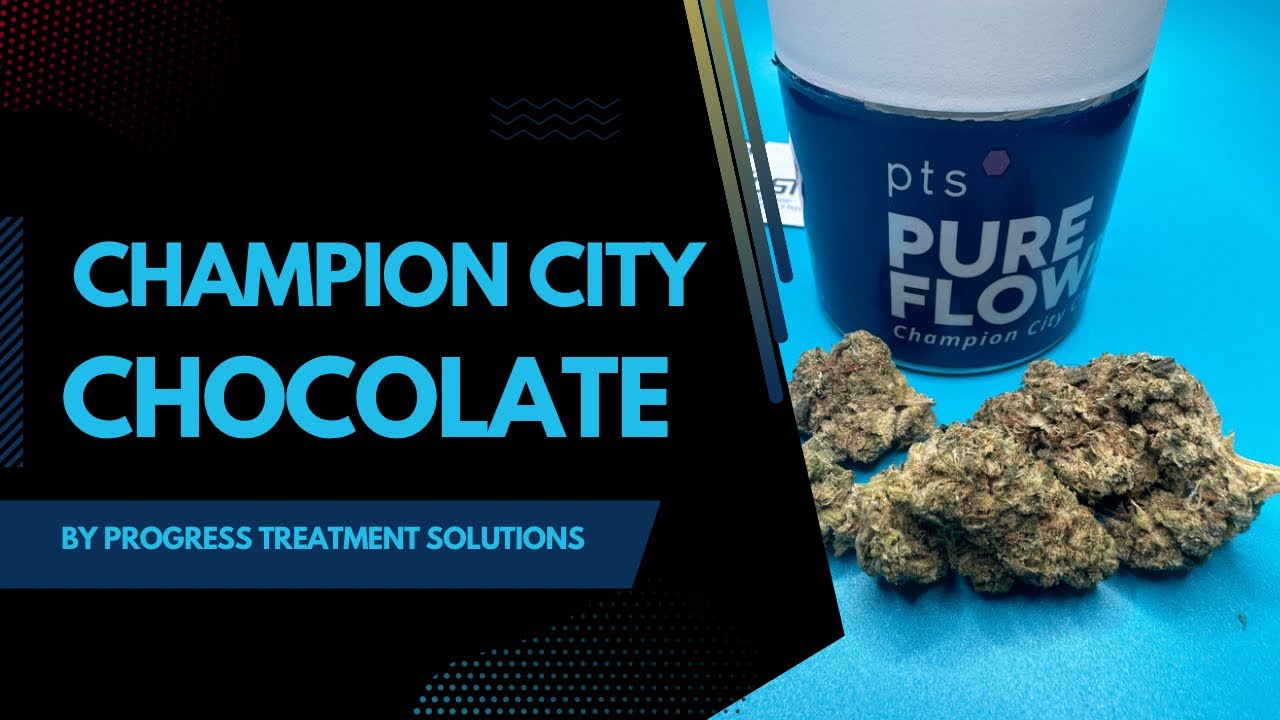 Champion City Chocolate by Progressive Treatment Solutions Review