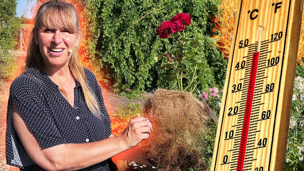 Hitzewelle 2022: GartenTIPPS - Böden FEUCHT halten trotz Superhitze  +++  Gutschein-Code für -40%