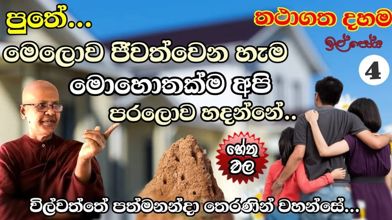 wilwaththe pathma theraniyo