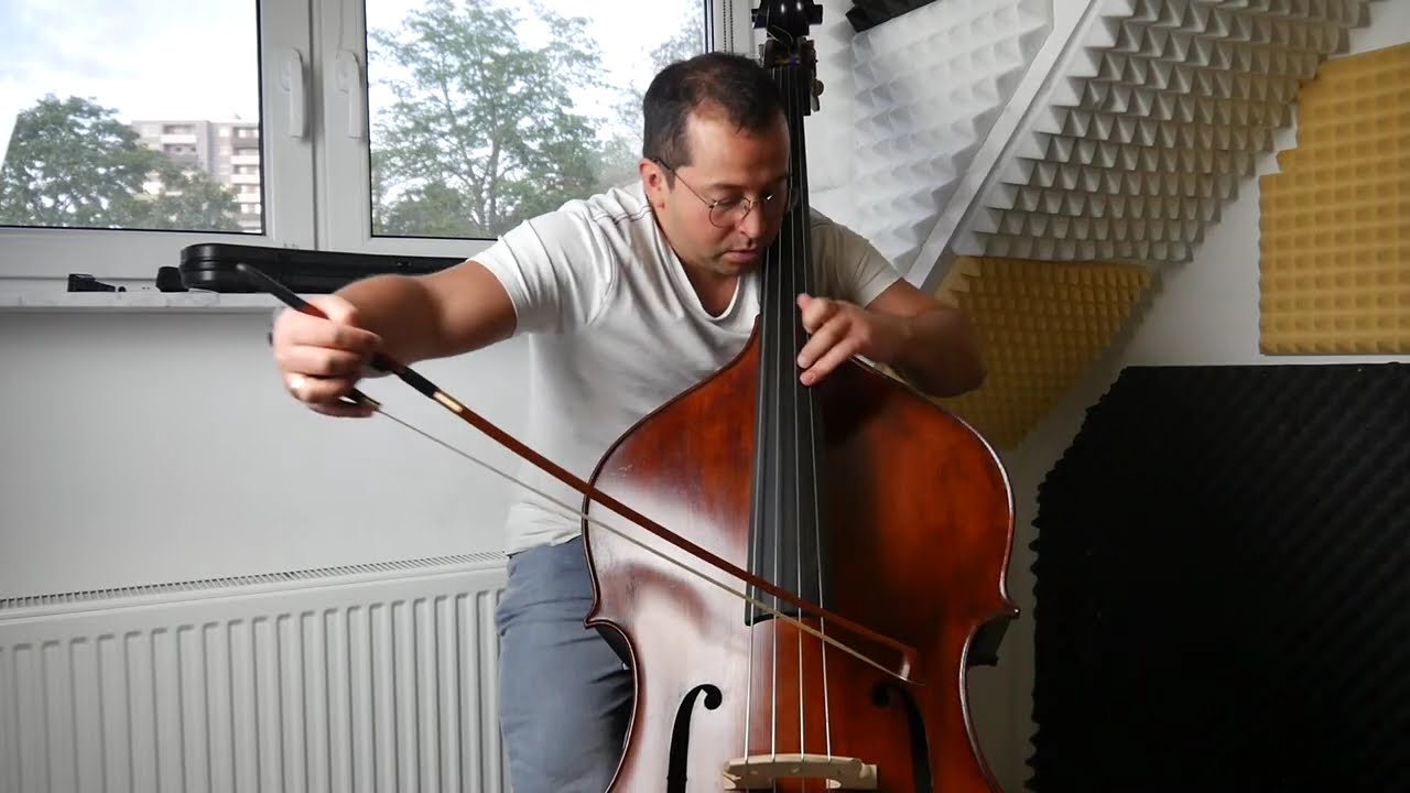 Dittersdorf, Karl. Double bass concerto, 2nd. movement
