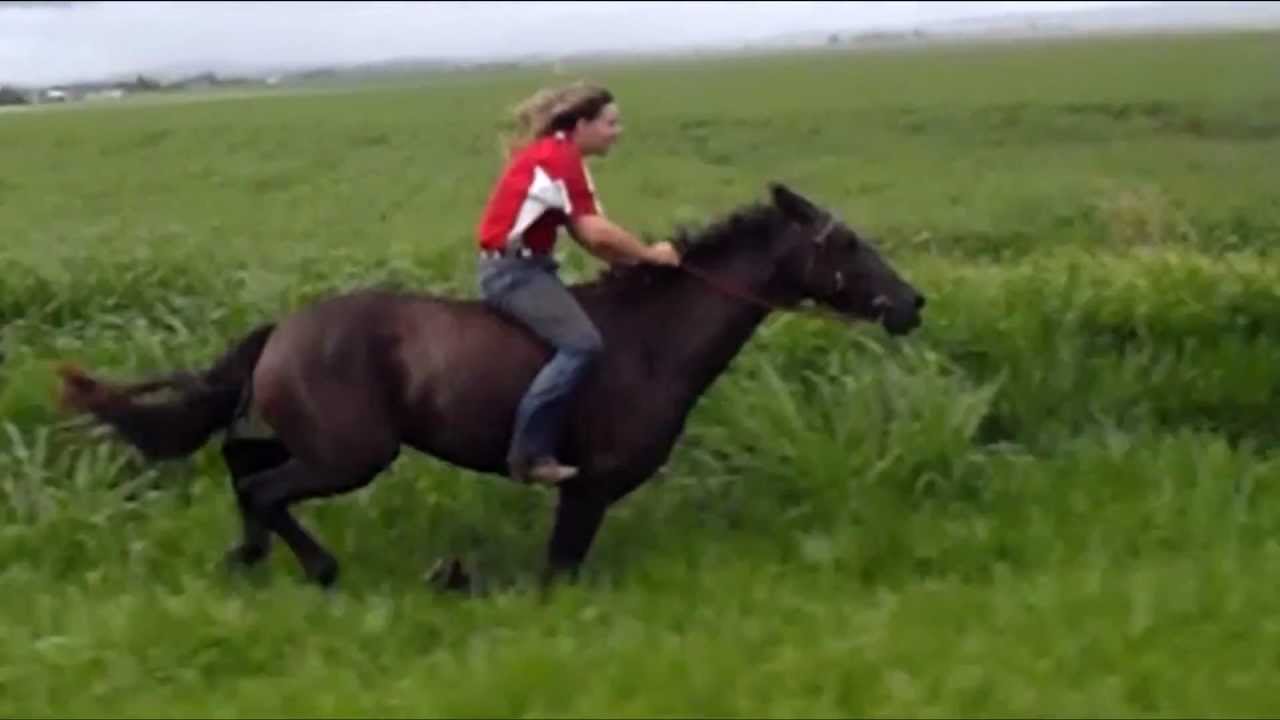 500m Bareback flatout gallop on Horse!!