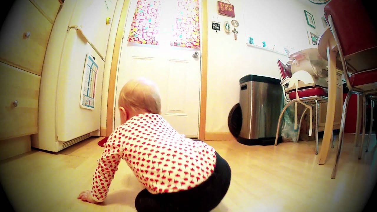 Baby Head Bump Crawl Fun