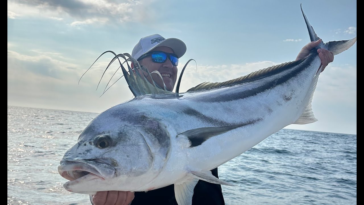 Marlin, Tuna & Rooster's In San José del Cabo - June 2024