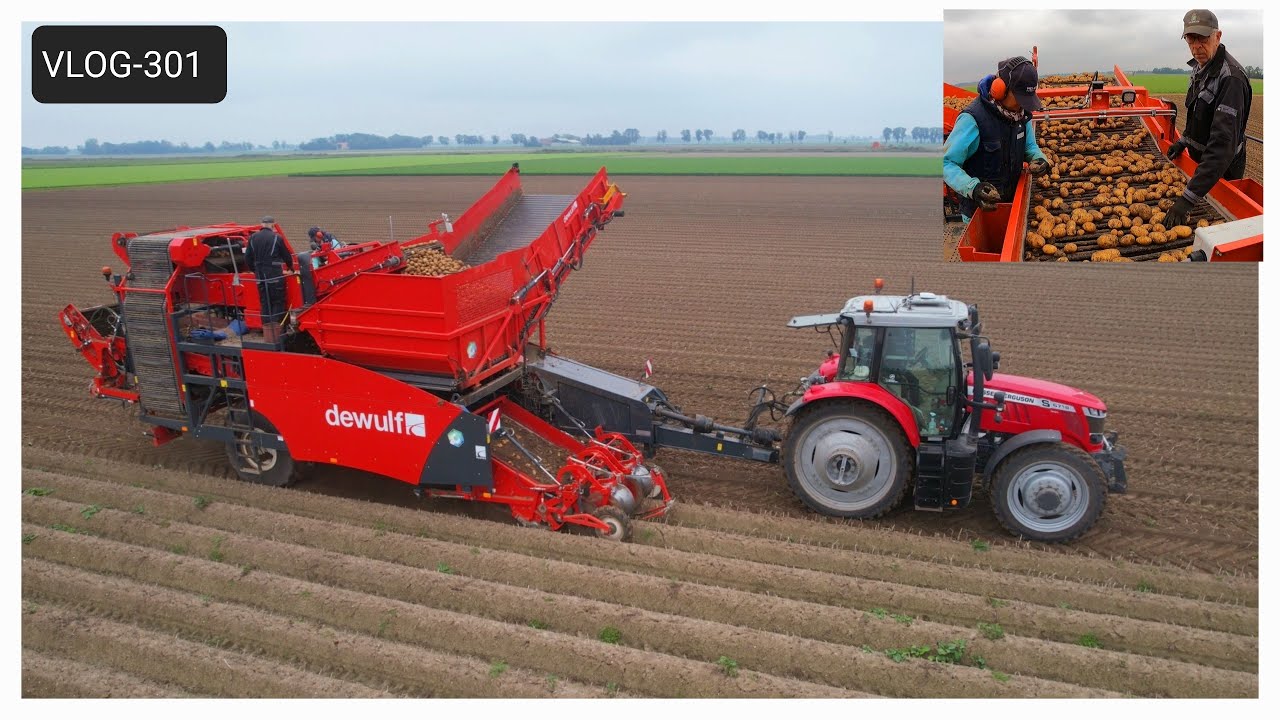 FARMVLOG #301 laatste pootaardappelen rooien 2025 met Dewulf Ra2060