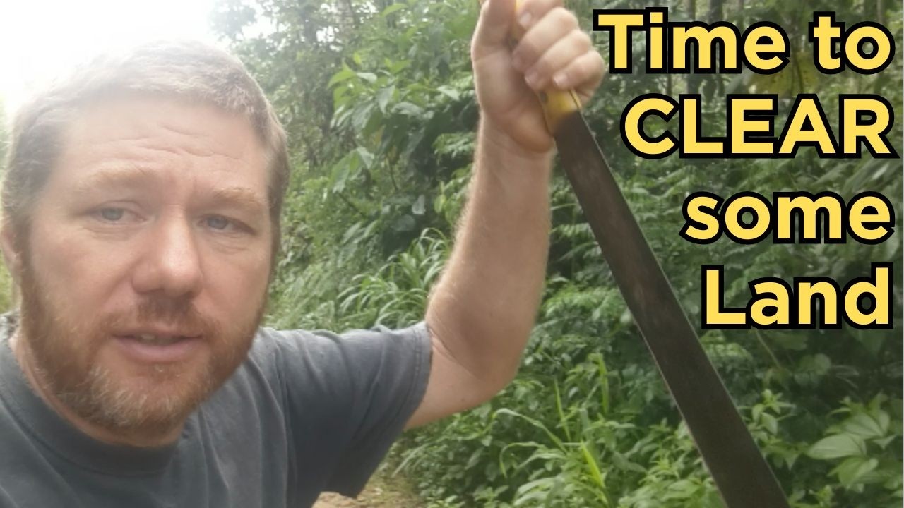 Clearing Land for a Neighbor + a Wild Animal Encounter