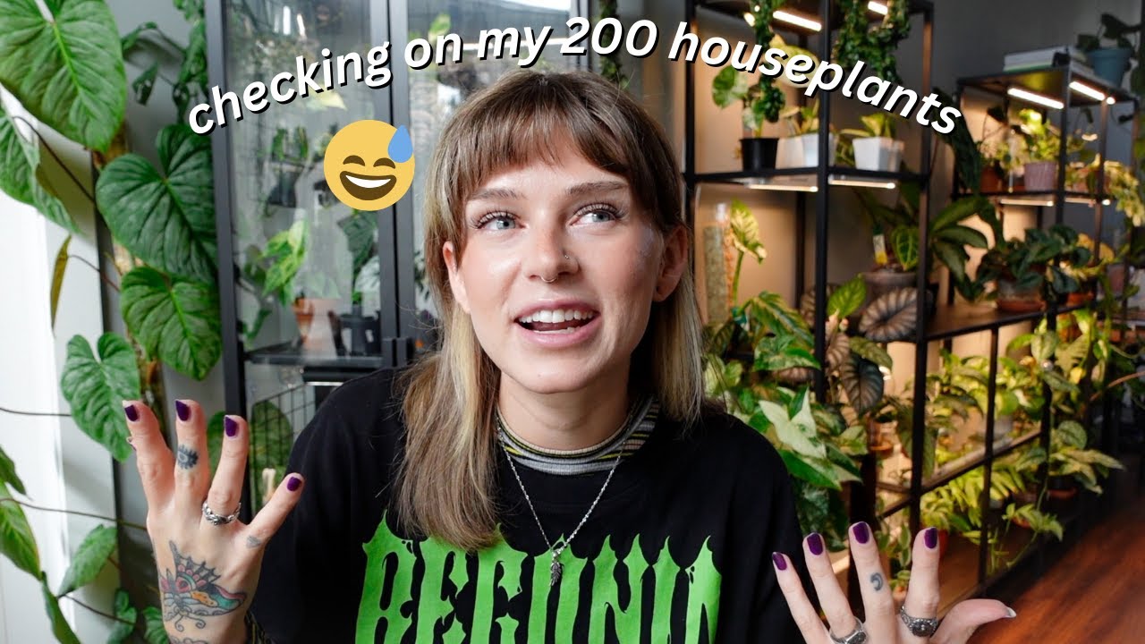 I left my plants for 10 days 👀