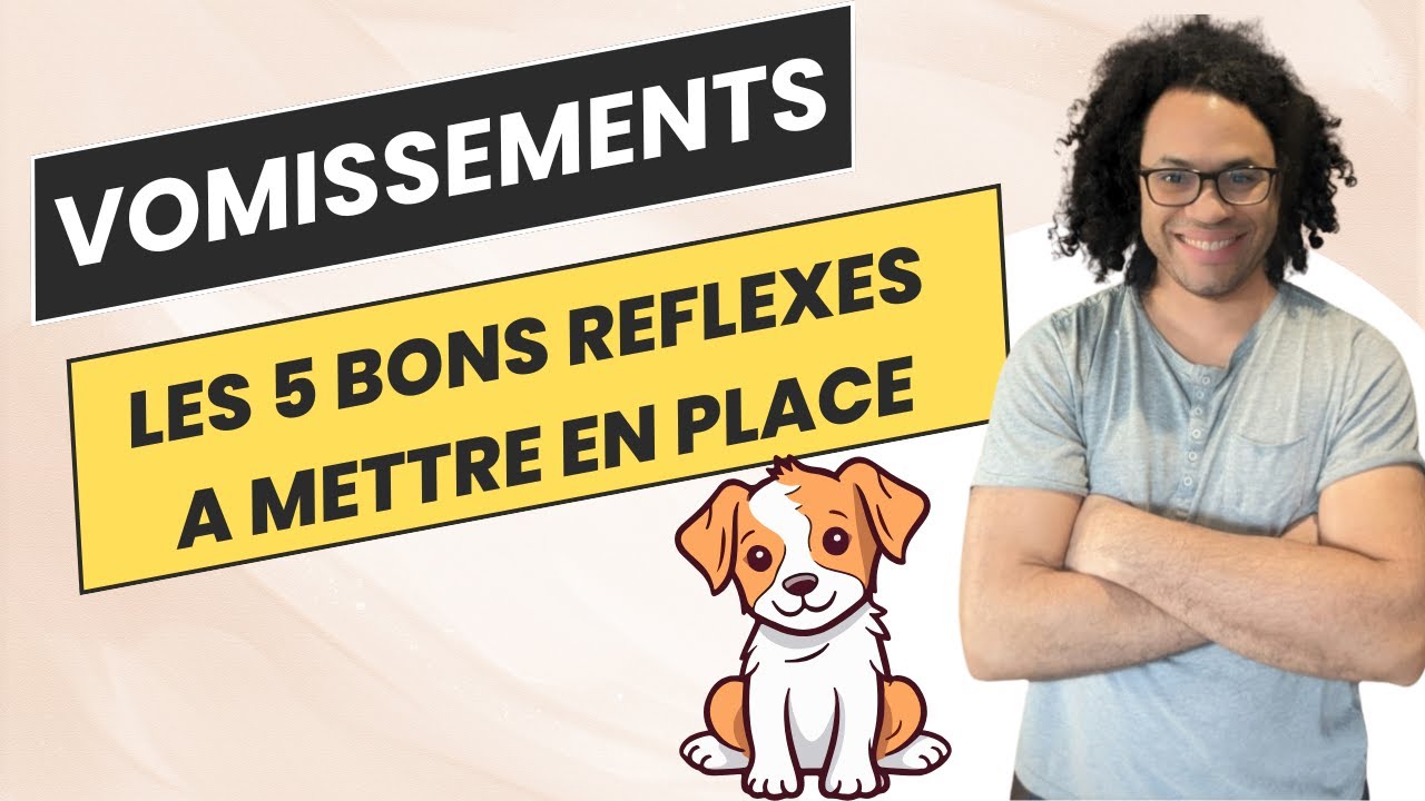 Que faire si votre chien vomit ? 5 réflexes essentiels
