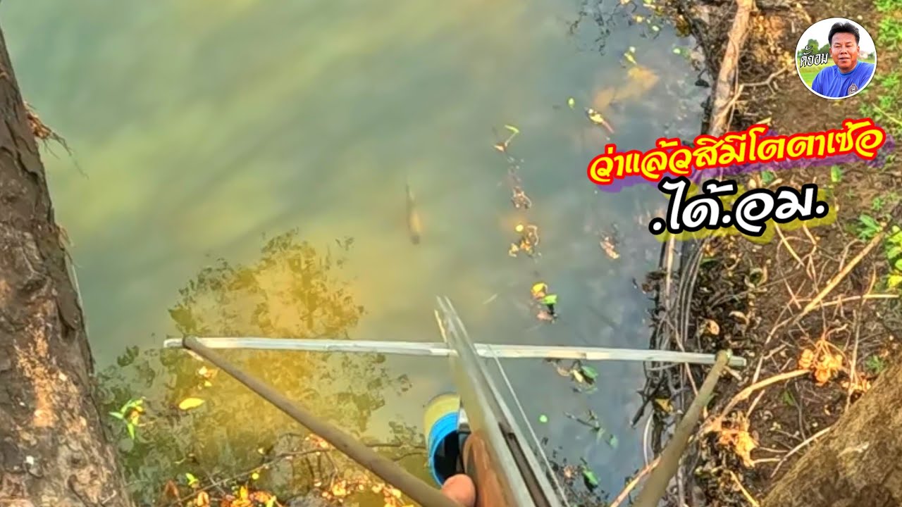 โตตาเซ้อกระมียุเด้อพี่น้อง