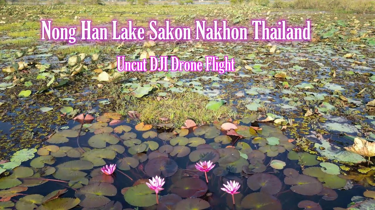 ทะเลสาบหนองหาร (หนองหารหลวง) จังหวัดสกลนคร Nong Han Lake Sakon Nakhon Thailand