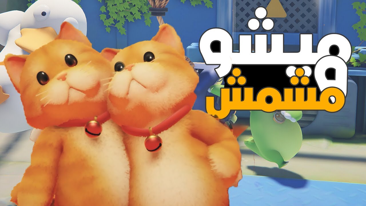 لو قلبك مات متجيش على قطتين اخوات | Party Animals