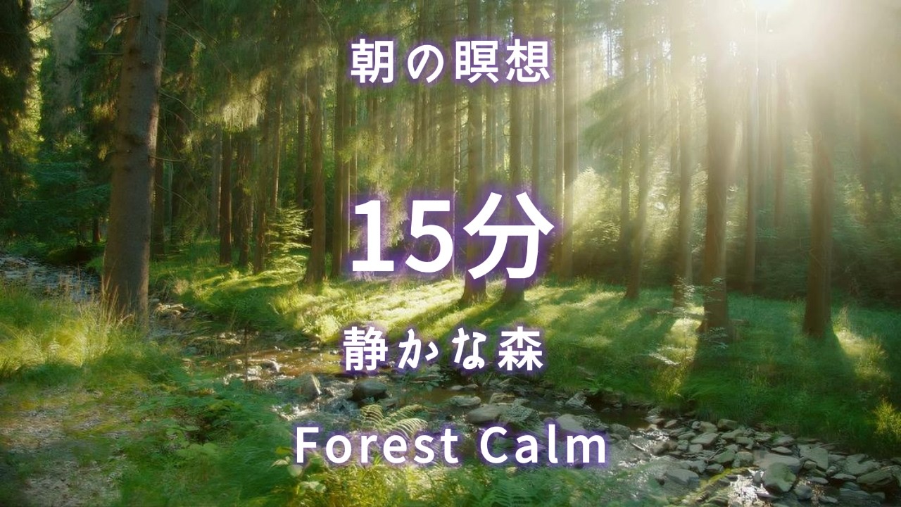 15分 瞑想音｜静かな森 Forest Calm