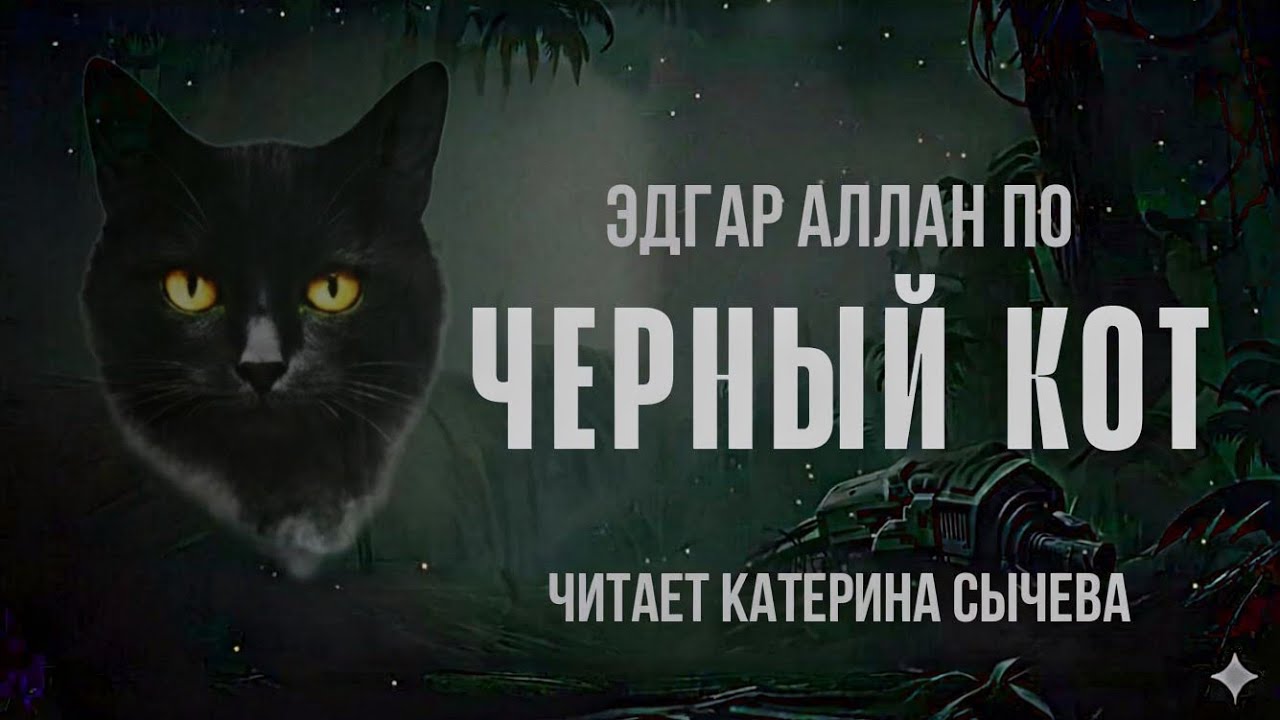 🐈‍⬛ ЧЁРНЫЙ КОТ — жуткий рассказ Эдгара Аллана По | Страшная классика | Читает Катерина Сычёва
