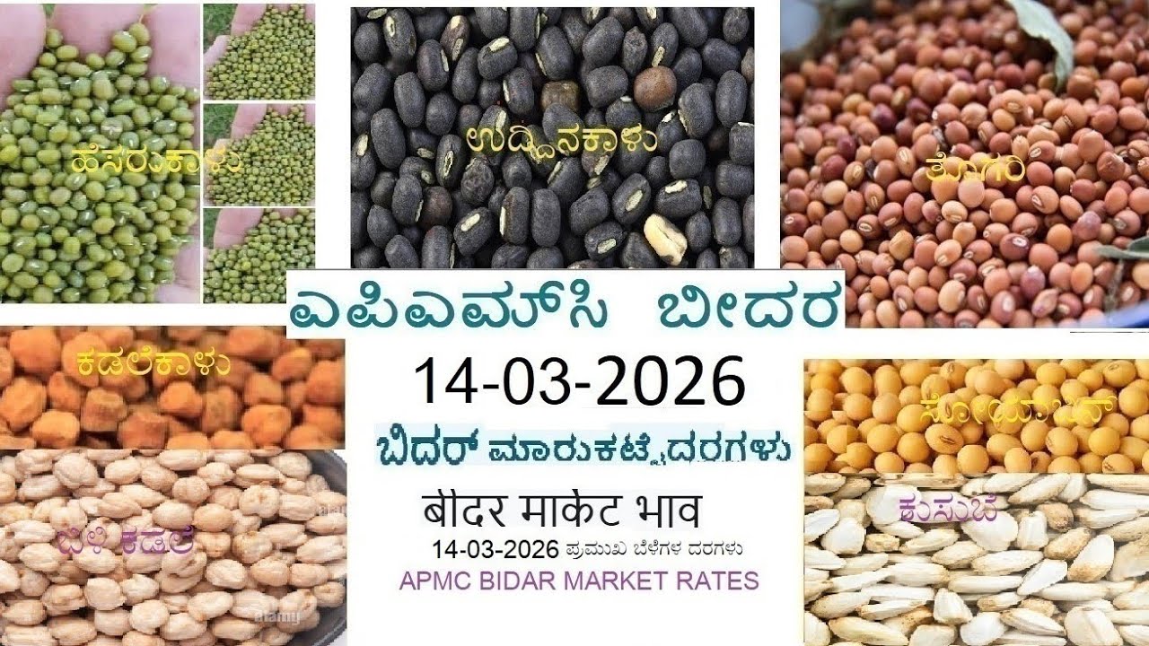14-03-2026 Apmc Bidar Market Rate #agriculture #apmcrate 