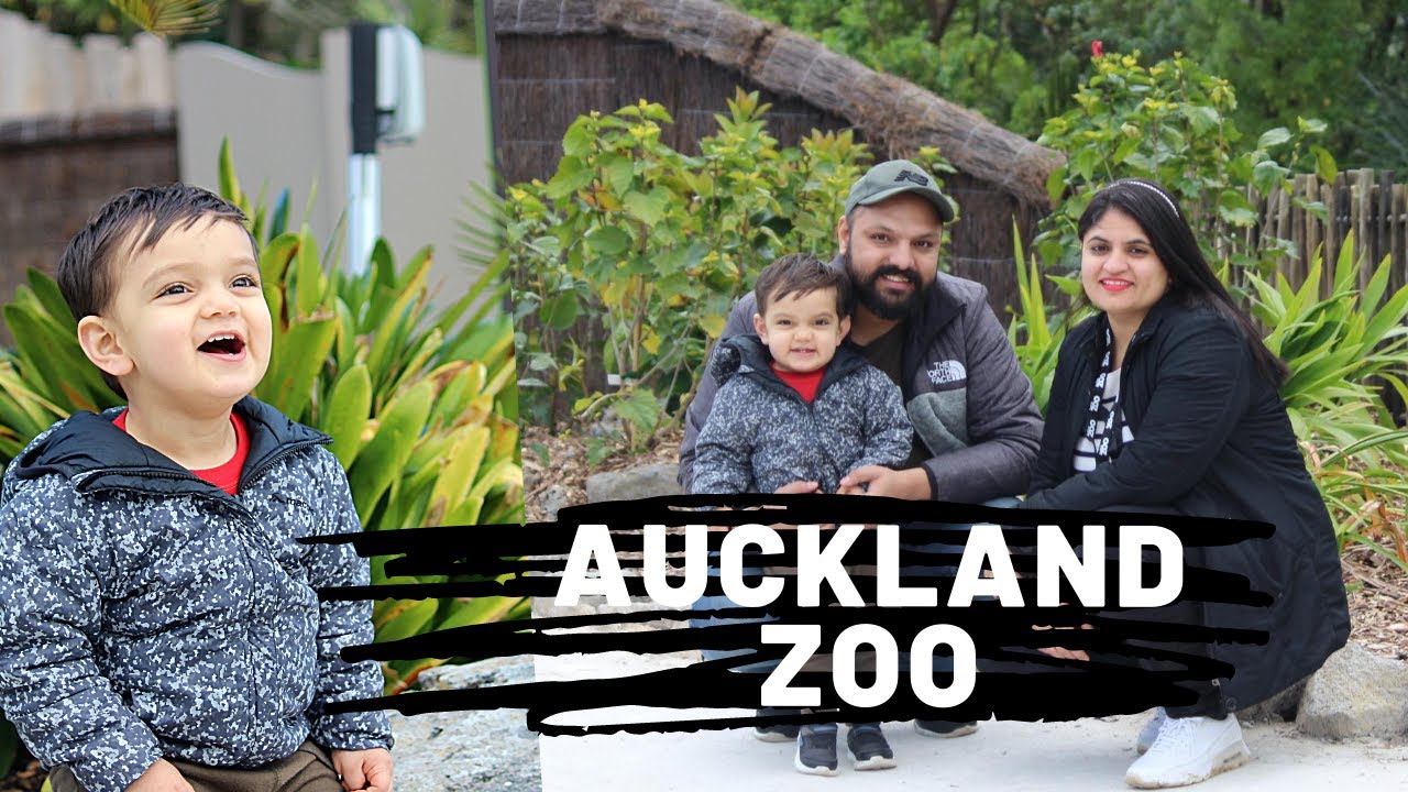 Auckland Zoo | Family Day Out | The Grewal Family