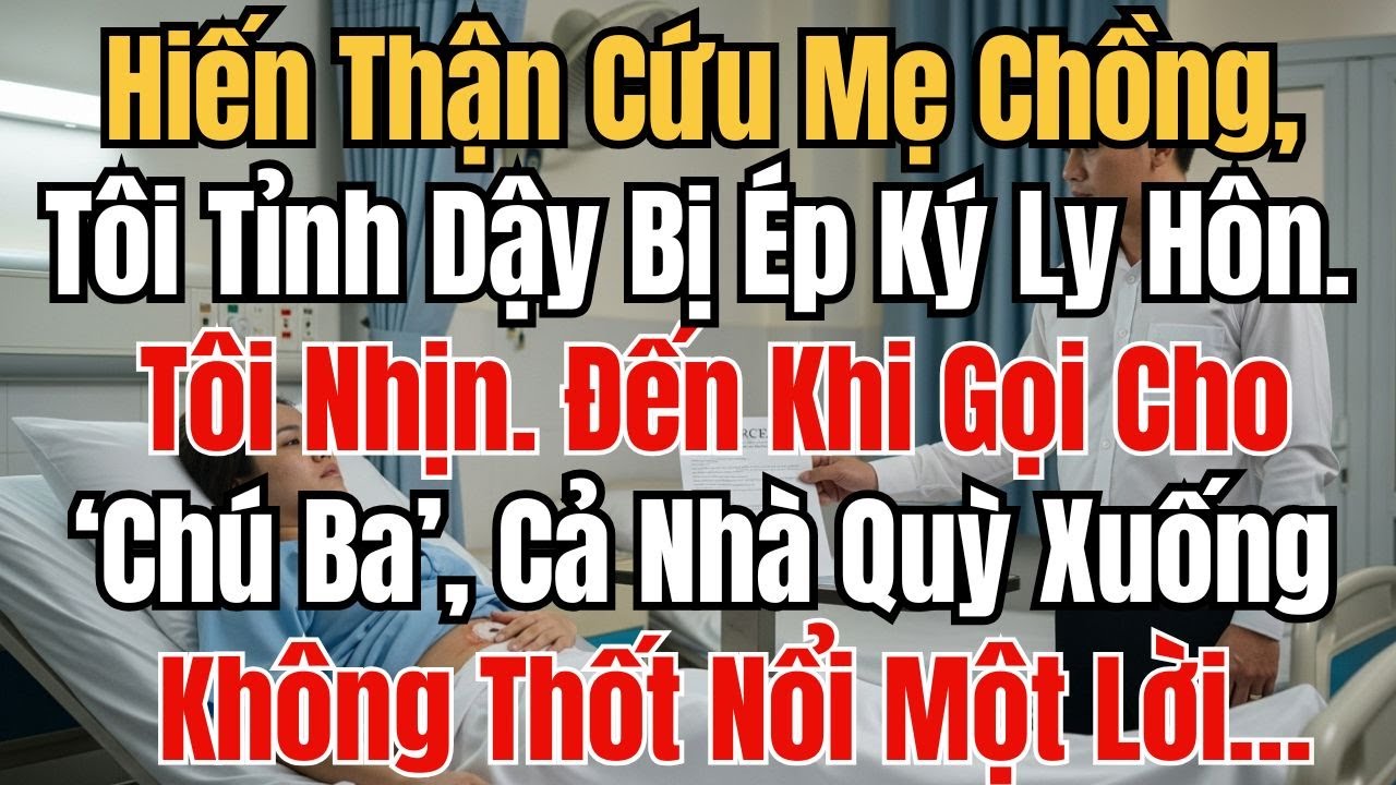 Hiến Thận Cứu Mẹ Chồng, Tôi Tỉnh Dậy Bị Ép Ký Ly Hôn. Tôi Nhịn. Đến Khi Gọi Cho ‘Chú Ba’, Cả Nhà Quy