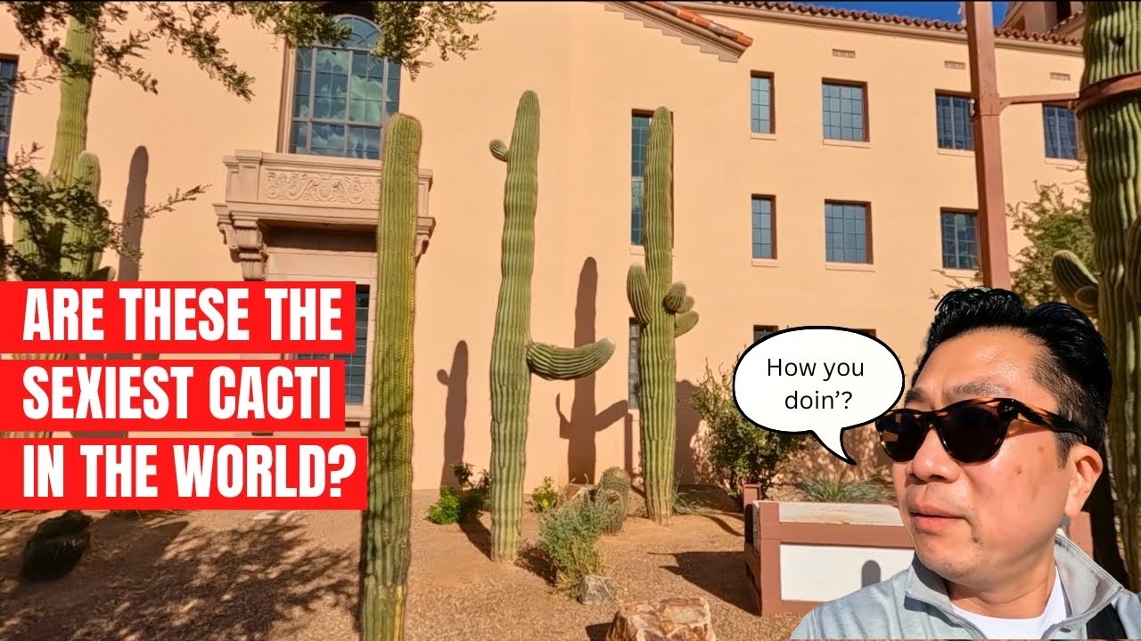 What to See in Tucson | Searching For The World’s Biggest Cactus
