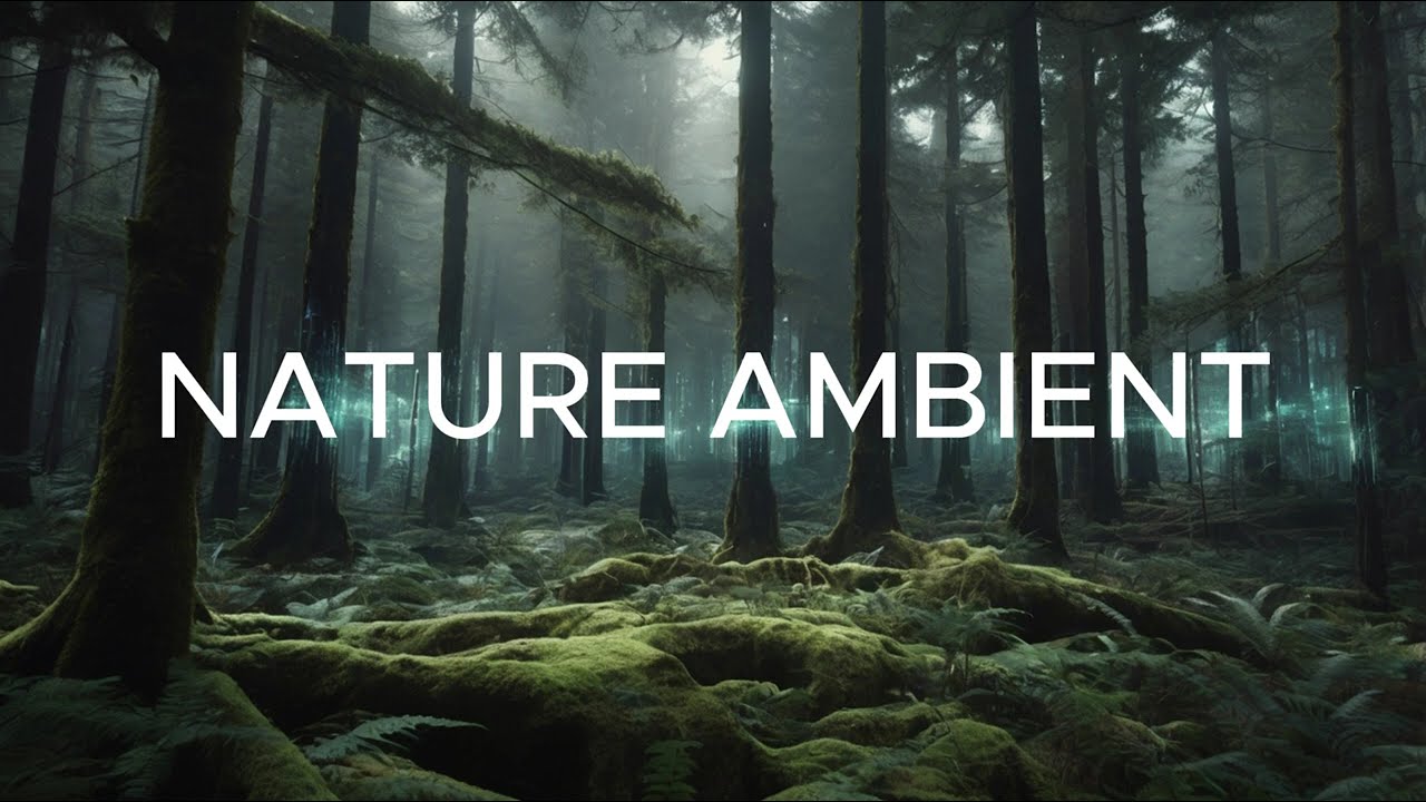 NATURE AMBIENT CALM FOR MILD & BODY