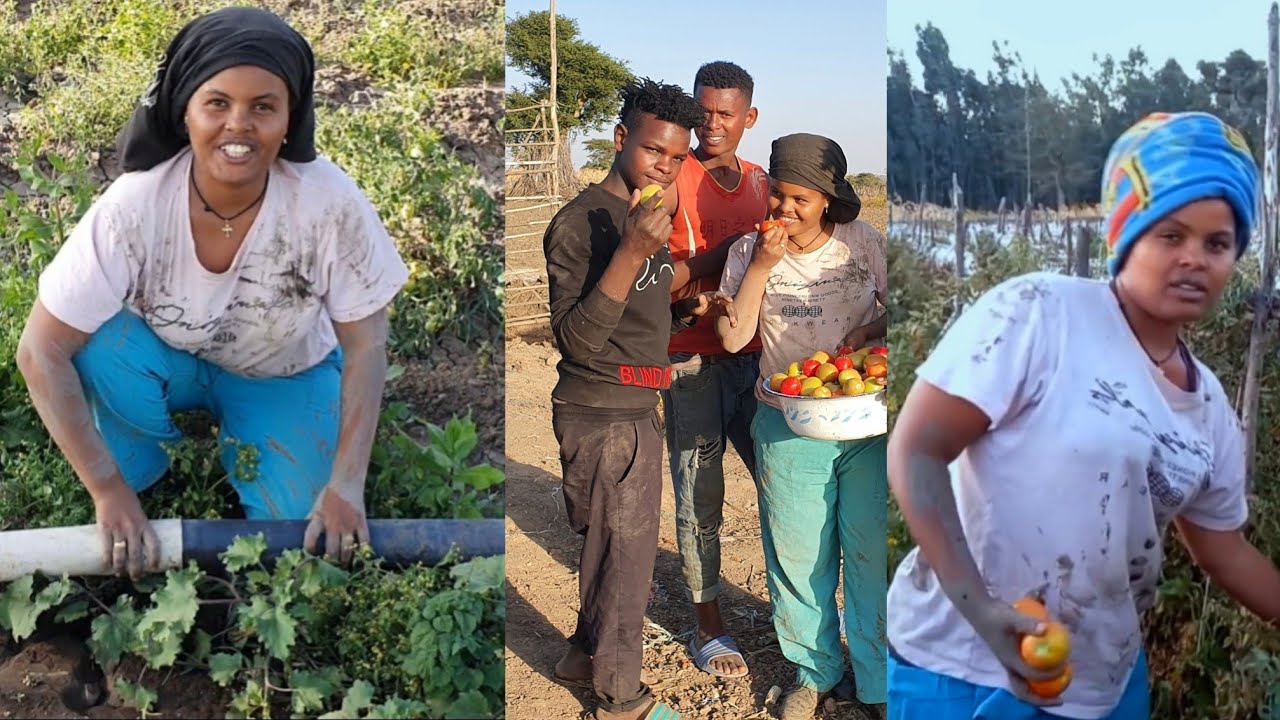 4  ጥማድ መሬት ልማት ስንት ብር💰ጨረሰ ከስደት መልስ 4 መቶ ሺ ብር ብቻ ምን ልስራ
