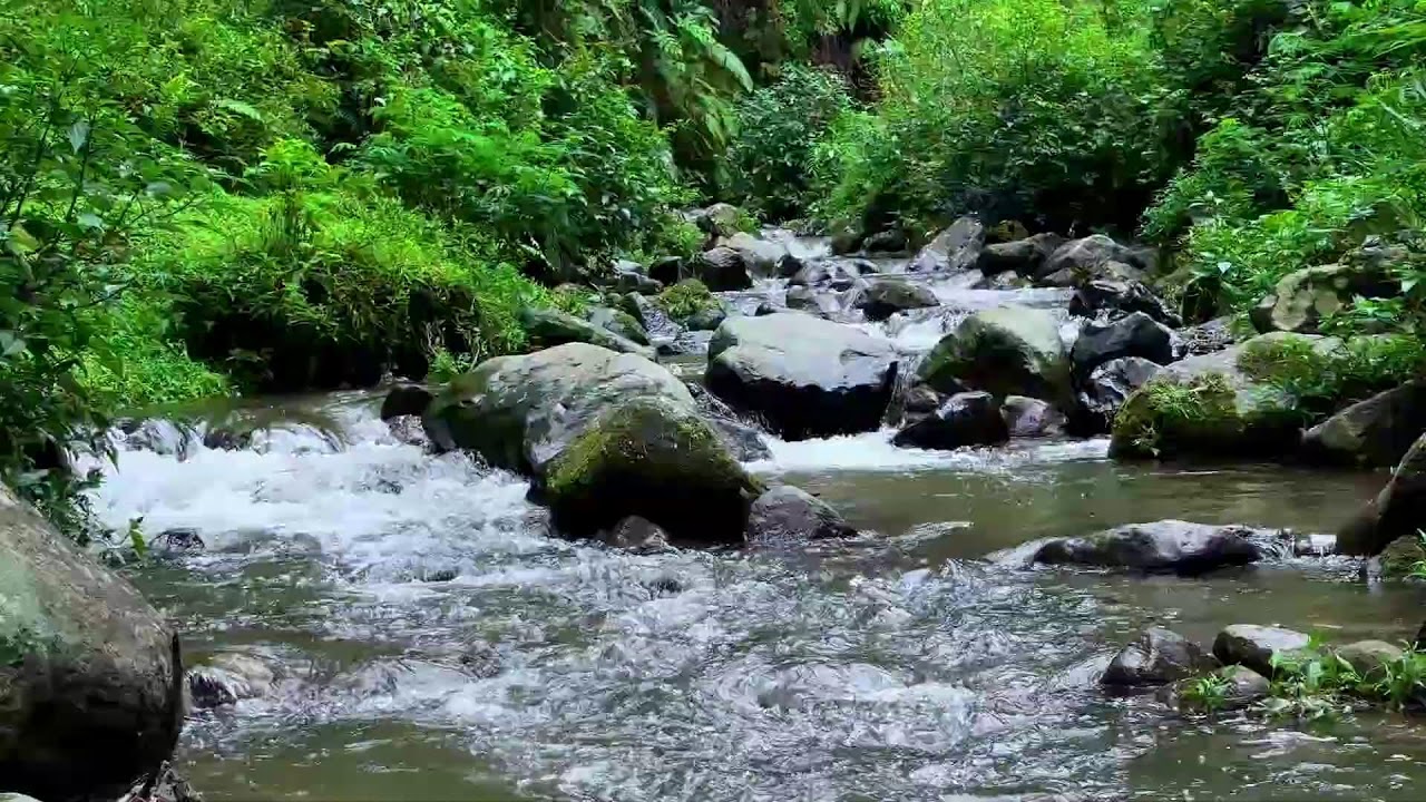 Natural river sound near quiet water shaping deep sleep and gentle dream protection