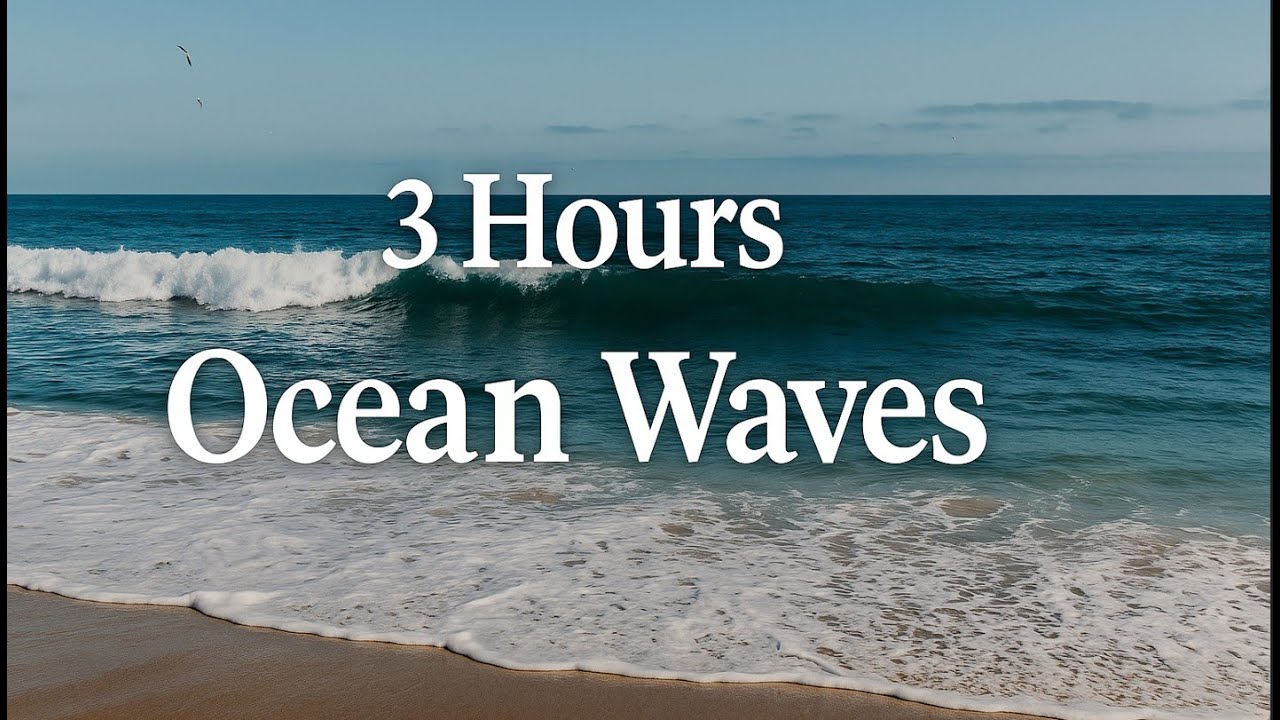 3 Hours Ocean Waves and Seagulls – Relaxing Beach Sounds for Sleep and Focus