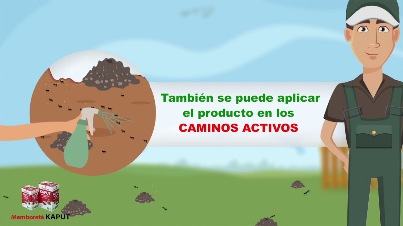 KAPUT | Aplicaci&oacute;n