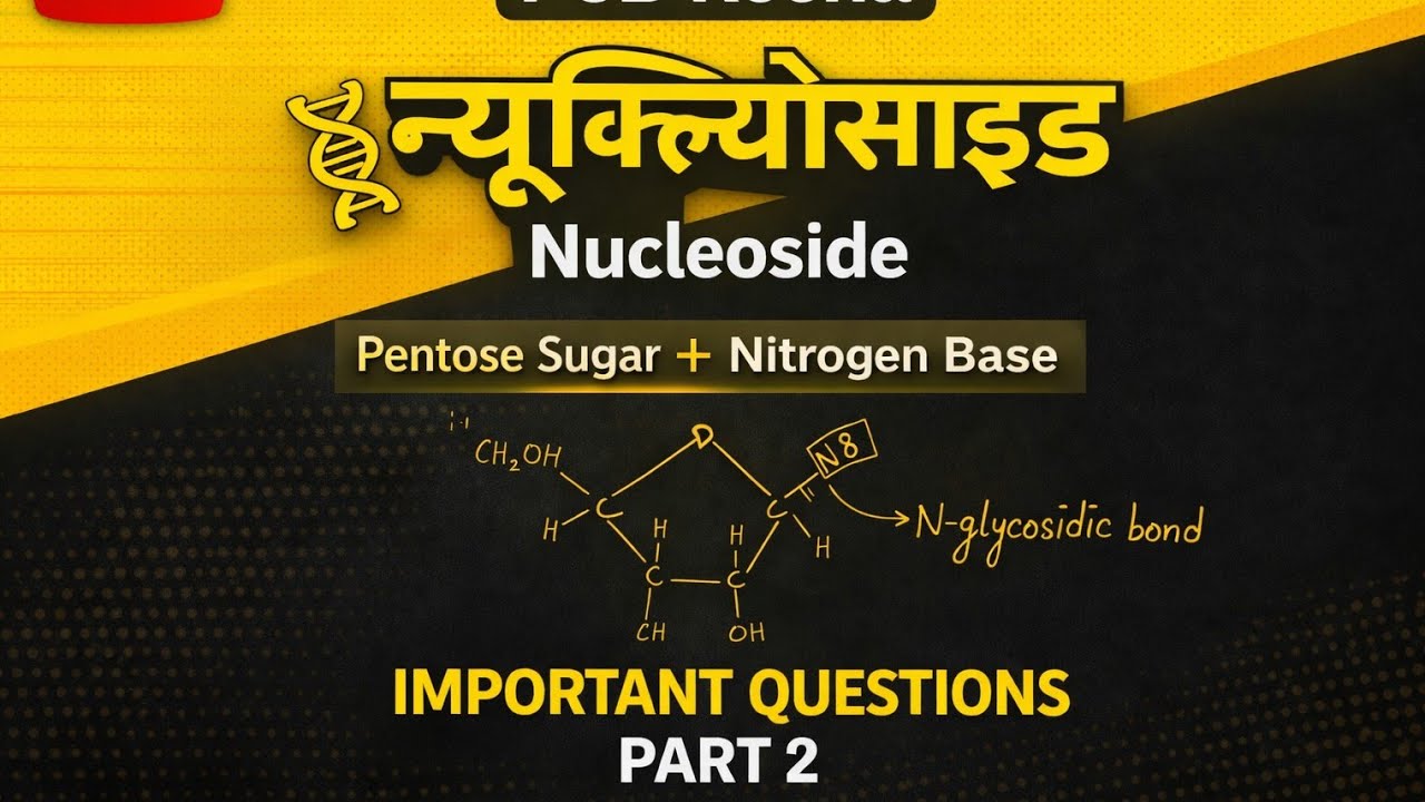 Nucleic Acid (DNA & RNA) Important Questions | Class 10–12 Biology | Part 2