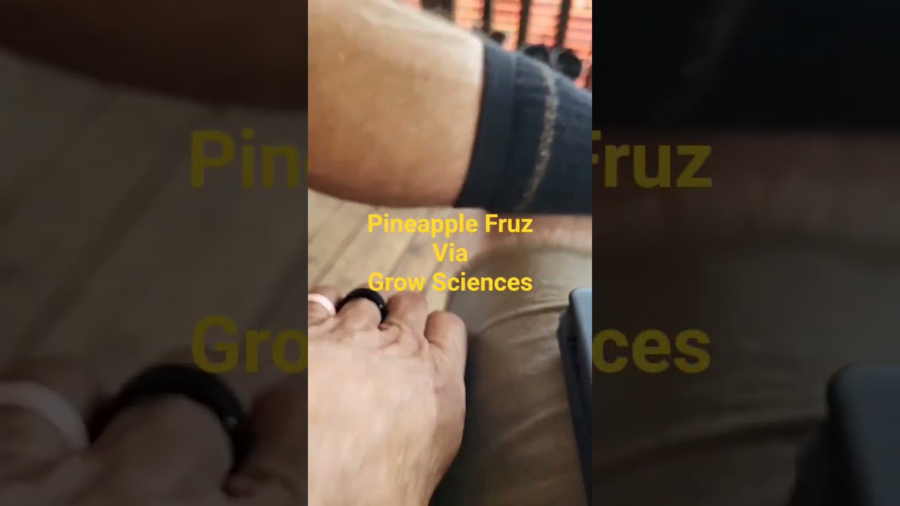 Grow Sciences-Pineapple Fruz