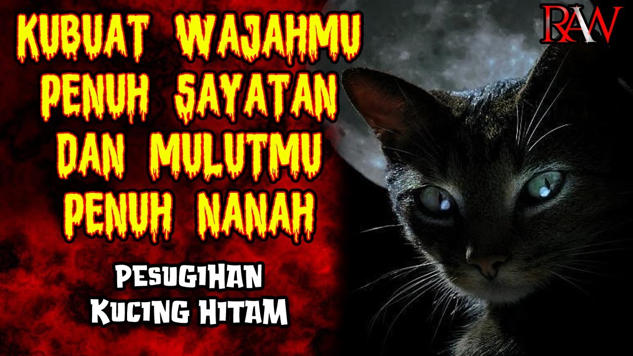 SANGAT KEJAM ❗❗ PESUGIHAN KUCING HITAM | KISAH HORROR RAW
