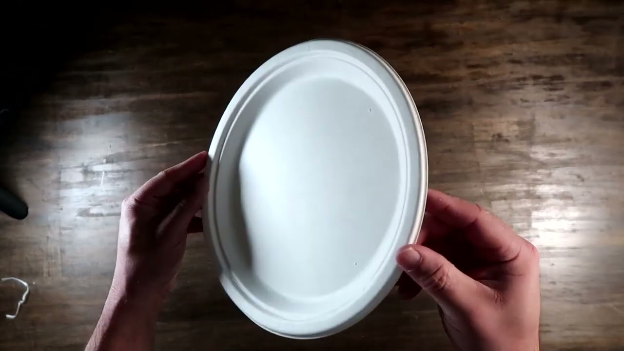 ECOLipak 100% Compostable 10 in Paper Plate Heavy Duty Plate