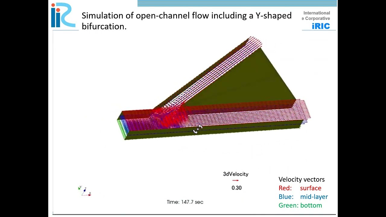 Freebird,  iRIC’s general-purpose three-dimensional open-channel flow solver.