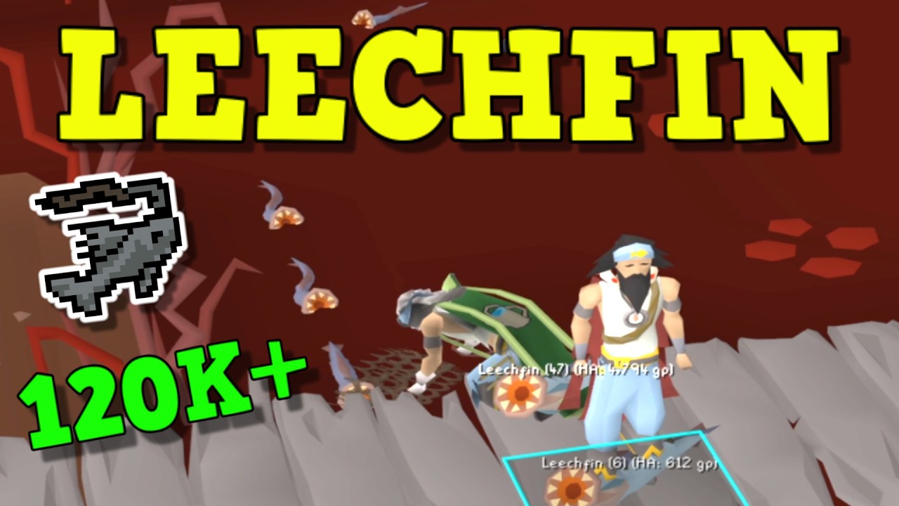 New BEST Fishing Method In Old School Runescape - Leechfin Fishing Guide (OSRS)