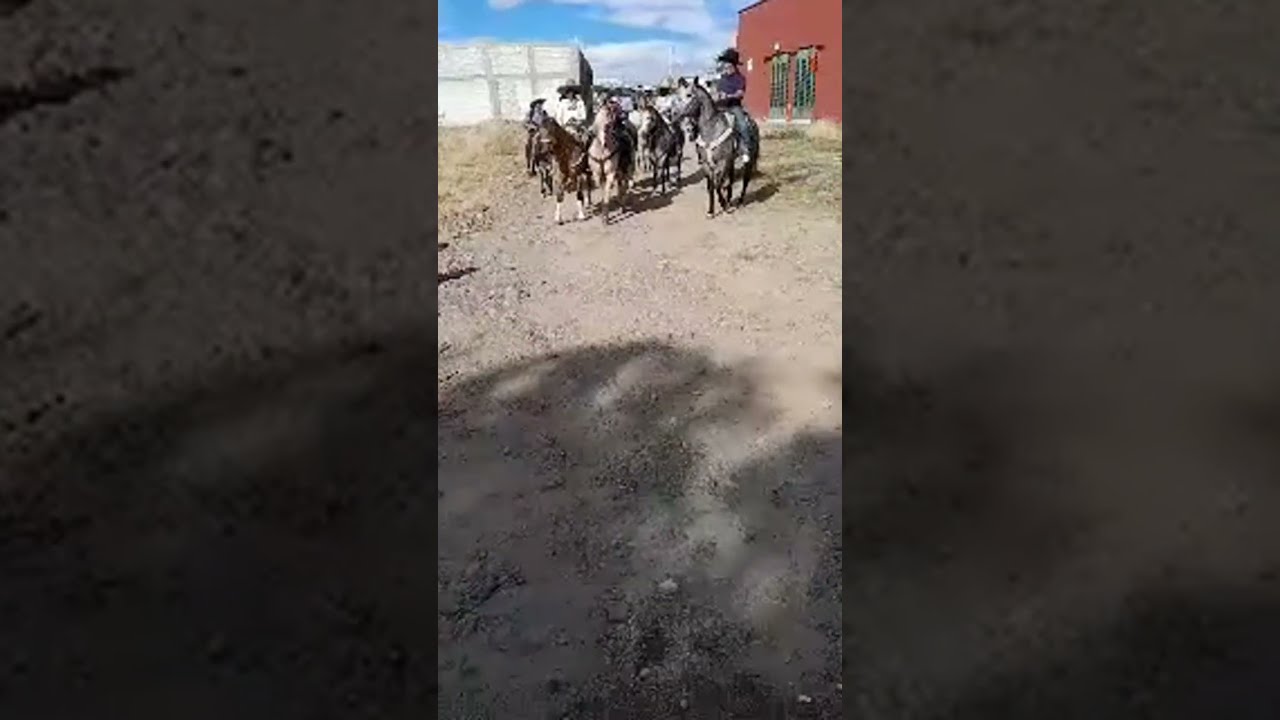 2 de Febrero 2025 San Juan del Centro Jerez Zacatecas 