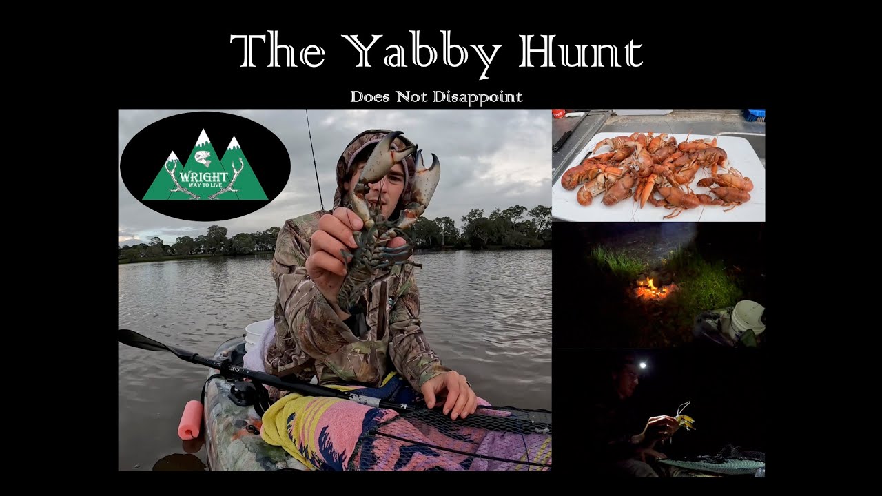 Yabby Hunting Cocky Lake