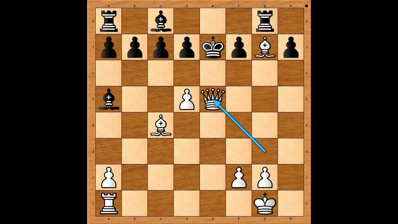 Potez genija pobedobosno odvlačenje ključnog branioca 💣💣💣😎  FISCHER vs FINE #3547