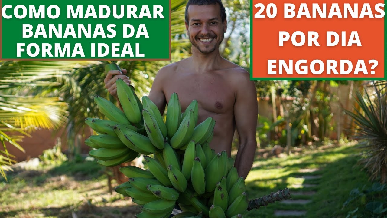 COMO MADURAR E COMER 20 BANANAS DE ALMOÇO ENGORDA LARGUE O AÇÚCAR
