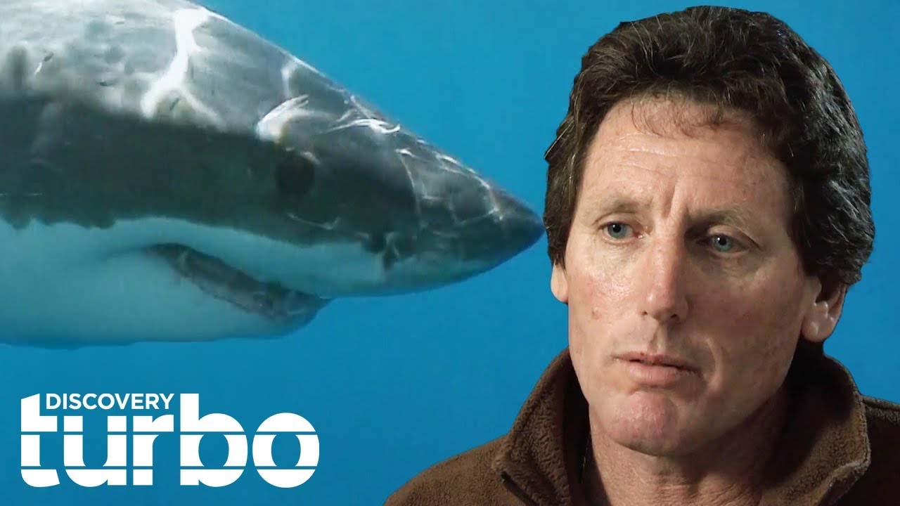 Abalone Diver Faces His Fear Of Sharks To Haul Over $8k Worth Of Abalone | Abalone Wars