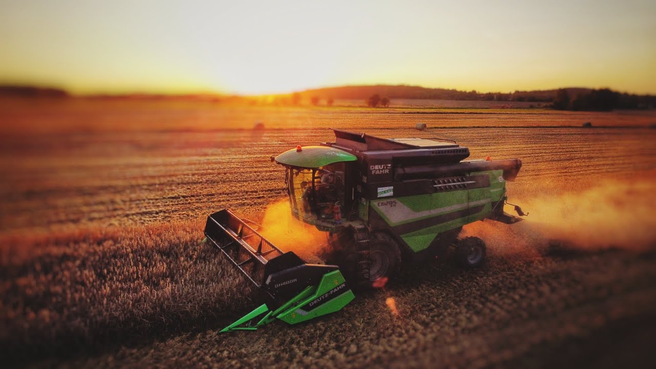 Opóznione Żniwa 2021!Deutz-Fahr 6205|Landini|Koszenie żyta!